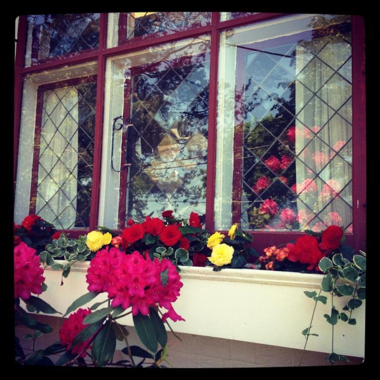 Belgravia B&B Truro Ngoại thất bức ảnh